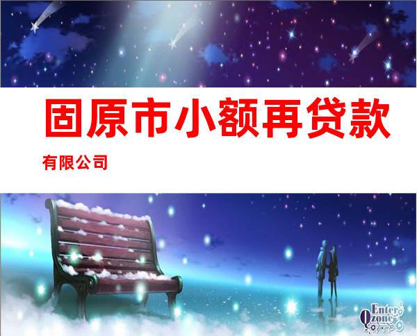 固原市小额再贷款有限公司